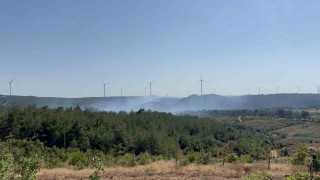 Çanakkaledeki orman yangını kontrol altında