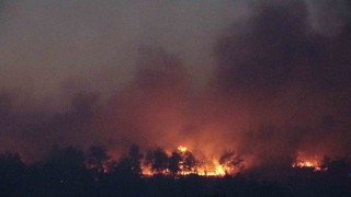 Çanakkaledeki orman yangınına karadan müdahale devam ediyor