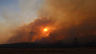 Çanakkaledeki yangında 126 vatandaş tahliye edildi