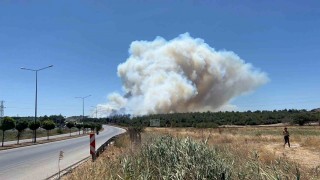 Çanakkaledeki yangında tedbir amaçlı Güzelyalı bölgesindeki vatandaşlar tahliye ediliyor
