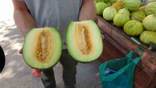 Çankırı tuzu bu kavunun tadına tat katıyor