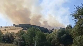 Çankırıda orman yangını