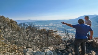Cankurtaranda yanan bölgenin ağaçlandırılması için çalışmalara başlandı