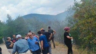 Çatalzeytinde çıkan orman yangını kontrol altına alındı