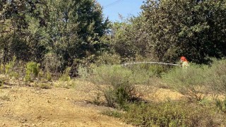 Çekmeköyde ormanlık alanda çıkan yangın söndürüldü