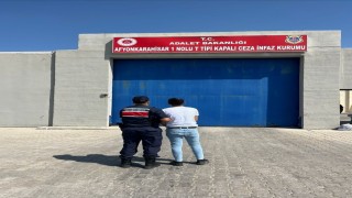 Çeşitli suçlardan aranan 34 kişiyi jandarma yakaladı