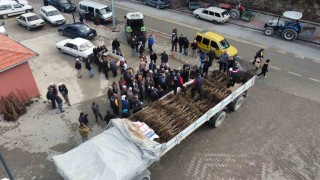 Cevizin başkenti artık Denizli