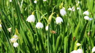 Çevre Kanununa uymayan 16 kişiye 4,6 milyon TL ceza