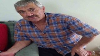 Çıktığı erik ağacı sonu oldu