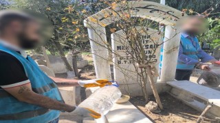 Cizrede denetimli serbestlik yükümlüleri şehit kabirlerini temizledi