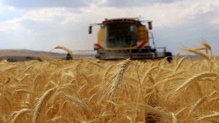 ÇKS başvuruları 1 Eylülde başlıyor