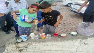 Çocuklar yüksek sıcaktan etkilenen sokak hayvanları için su ve yiyecek bıraktı