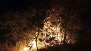 Çöplükte başlayan yangın araziye sıçradı