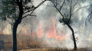 Çorluda ormanlık alanda korkutan yangın