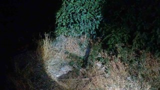 Çorumda sokak ortasında silahlı saldırıya uğrayan adam bacağından yaralandı