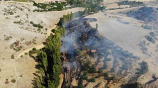 Çorumda tarlada çıkan yangın kontrol altına alındı, 1 kişi yaralandı