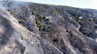 Çorumdaki orman yangını kontrol altına alındı