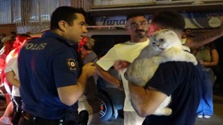 Dairenin balkonunda çıkan yangın korkuttu genç kız gözyaşlarına hakim olamadı
