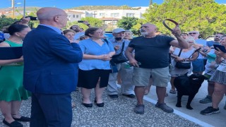 Datçada hayvanseverler Belediye Başkanı Kurtu istifaya davet etti