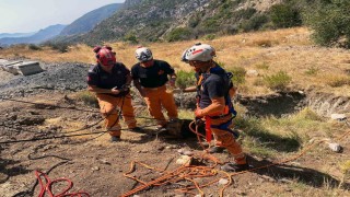 Datçada kuyuya düşen köpek MAG-AME ekibince kurtarıldı