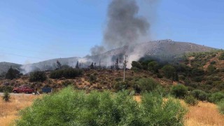 Datçada makilik yangını