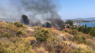 Datçada makilik yangını kontrol altına alındı