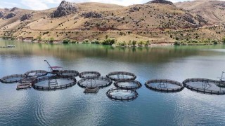 Denizi yok balıkçılıkta iddialı il