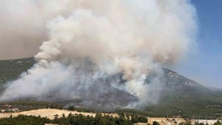 Denizlide çıkan orman yangınını söndürme çalışmaları aralıksız devam ediyor