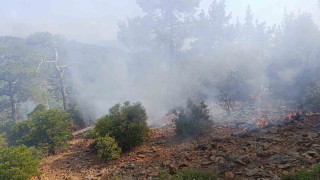 Denizlide günler önce düşen yıldırım orman yangınına neden oldu