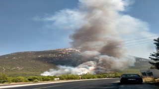 Denizlide orman yangını