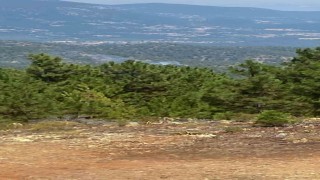 Denizlide sarp arazide orman yangını başladı