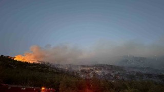 Denizlideki orman yangını kontrol altına alındı