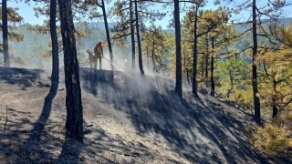 Denizlideki orman yangınında 165 hektar alan kül olmaktan kurtarıldı