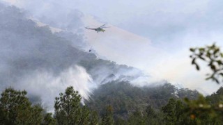 Denizlideki orman yangınında soğutma çalışmaları devam ediyor