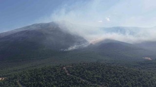Denizlideki yangın bölgesinde soğutma çalışmaları devam ediyor