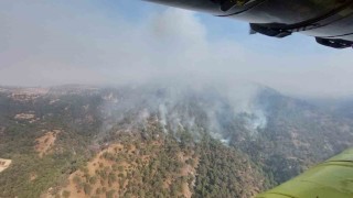 Denizliden Aydına sıçrayan yangında müdahale çalışmaları sürüyor