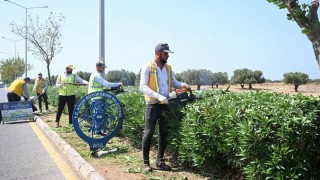 Didimde çevre ve peyzaj düzenlemesi gerçekleştirildi