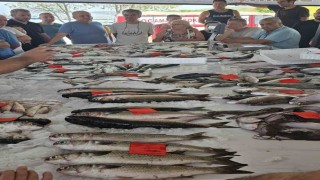 Didimde ilk balık mezatı gerçekleştirildi