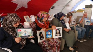 Diyarbakır anneleri 6 yıldır evlatlarının yolunu gözlüyor