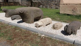 Diyarbakır Müzesinde 91 yıl sonra koç ve koyundan yapılmış mezar taşları ziyarete açıldı