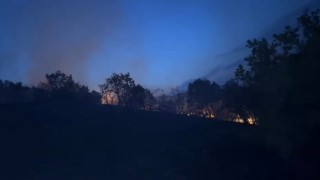 Diyarbakırda ağaçlık alanda korkutan yangın: Alevlerin yaklaştığı ev tahliye edildi