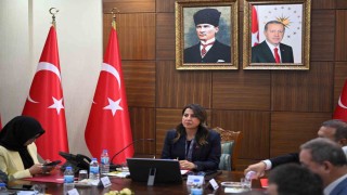 Diyarbakırda, kadın hizmetleri bölgesel istişare toplantısı yapıldı