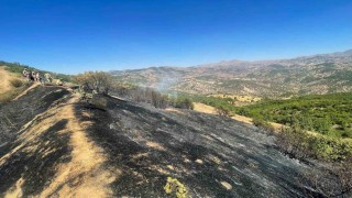 Diyarbakırda üç farklı noktada çıkan yangınlar kontrol altına alındı
