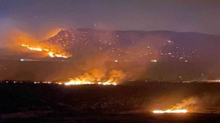 Diyarbakırın 2 ilçesinde çıkan yangın söndürüldü