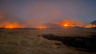Diyarbakırın 3 ilçesinde etkili olan yangına müdahale devam ediyor