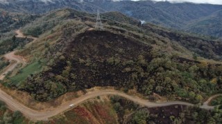 Doç. Dr. Kadir Alperen Coşkuner, Doğu Karadeniz çok yağış alır, bu nedenle yangın olmaz şeklinde bir inanış vardır ancak bu doğru değildir
