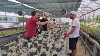 Doğal afetlere akıllı sera ile çözüm