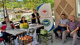 Doğal Emet Göncek köyü kavunu için 35 çiftçiye eğitim