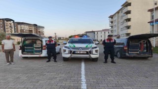 Doğubayazıtta kaçak kurbağa avcılığına jandarma operasyonu