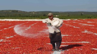 Domates kurutma alanlarında görsel şölen
